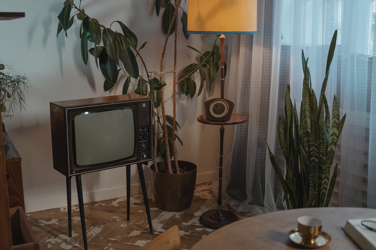 Cozy corner featuring a retro CRT television, vintage lamp, and potted plants in a nostalgic setting.